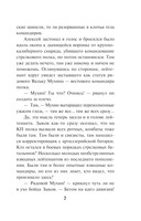 Бомба за пазухой — фото, картинка — 4