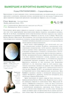 Вымершие птицы мира — фото, картинка — 8