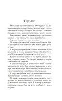 Изола — фото, картинка — 27