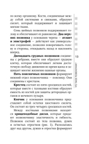 Остеохондроз, сколиоз, грыжа: легендарная методика при болях в спине — фото, картинка — 12