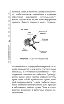 Остеохондроз, сколиоз, грыжа: легендарная методика при болях в спине — фото, картинка — 13