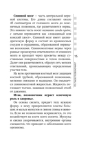 Остеохондроз, сколиоз, грыжа: легендарная методика при болях в спине — фото, картинка — 14