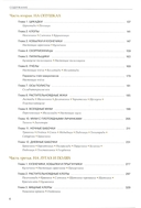 Насекомые лугов, полей и опушек — фото, картинка — 2