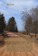 Насекомые лугов, полей и опушек — фото, картинка — 4