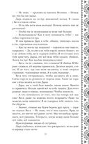 Золотые земли. Птицы Великого леса — фото, картинка — 20