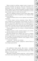 Золотые земли. Птицы Великого леса — фото, картинка — 30