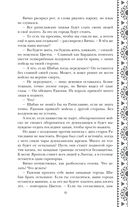 Золотые земли. Птицы Великого леса — фото, картинка — 48