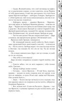 Золотые земли. Птицы Великого леса — фото, картинка — 64