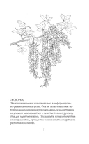 Яды и проклятия. Тёмная сторона растений — фото, картинка — 7