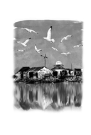 Прекрасная ясность — фото, картинка — 14