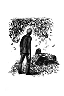 Прекрасная ясность — фото, картинка — 6