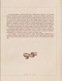 Разговор с дедушкой. Ключ к пониманию семейного древа — фото, картинка — 2