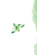 Гомеопатия. Искусство бережного отношения к здоровью — фото, картинка — 19