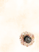 Вуаль. Том 1 + лимитированный мерч — фото, картинка — 13