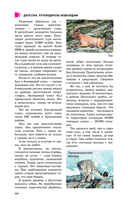 Дагестан. Путеводитель пешеходам — фото, картинка — 10