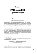 Сила коллективного лидерства — фото, картинка — 9