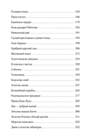 Сказки бабушки про чужие странушки. Арабские, английские, немецкие, испанские, бельгийские, итальянские, исландские, египетские, турецкие, китайские, финские, венгерские, индийские, шведские и другие сказки — фото, картинка — 3