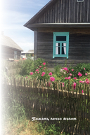 Верить и любить. Избранные стихи и песни — фото, картинка — 4