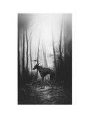 Ледяная кровь — фото, картинка — 8