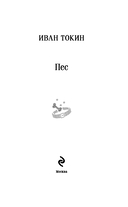 Пес — фото, картинка — 2