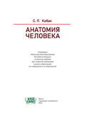 Анатомия человека — фото, картинка — 1