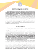 Анатомия человека — фото, картинка — 8