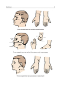 Целительные точки. Акупрессура и точечный массаж — фото, картинка — 7