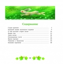 Сказки Скоковой горы — фото, картинка — 5