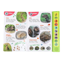 Лесные жители — фото, картинка — 3