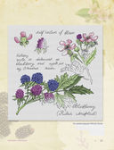 Лучшие ботанические мотивы. Вышивка крестом — фото, картинка — 9