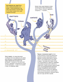 Путешествие во времени. Эволюция человека — фото, картинка — 13