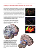 Анатографика — фото, картинка — 11