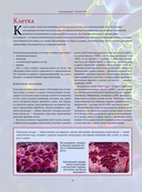 Анатографика — фото, картинка — 13