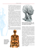 Анатографика — фото, картинка — 8