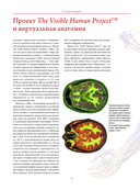 Анатографика — фото, картинка — 9