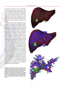 Анатографика — фото, картинка — 10