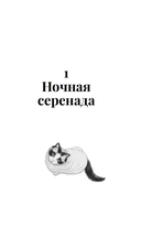 Нэко-кафе. Правила жизни кошек — фото, картинка — 9