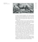 История на вкус. 4000 лет в рецептах и ингредиентах — фото, картинка — 35