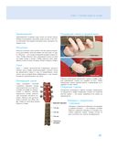 Гитара. Визуальный самоучитель — фото, картинка — 18