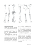 МОРФО. Скелет и мышцы человека. Анатомия для художников — фото, картинка — 11