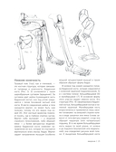МОРФО. Скелет и мышцы человека. Анатомия для художников — фото, картинка — 13