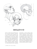 МОРФО. Скелет и мышцы человека. Анатомия для художников — фото, картинка — 6