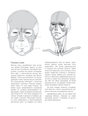 МОРФО. Скелет и мышцы человека. Анатомия для художников — фото, картинка — 7