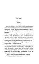 Год ведьмовства — фото, картинка — 6