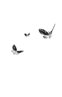 Мёртвая голова — фото, картинка — 1