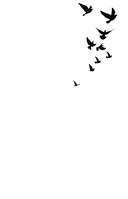 Послания Мира, или Разговор с Богом — фото, картинка — 2