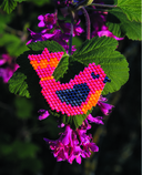 БИСЕР шаг за шагом. 9 основных техник, 100 готовых схем. Полное пошаговое руководство по работе с бисером — фото, картинка — 3