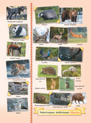 Первая книга о животных. 1000 фотографий — фото, картинка — 4