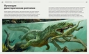 Загадки древних водных рептилий — фото, картинка — 2
