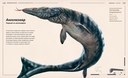Загадки древних водных рептилий — фото, картинка — 4